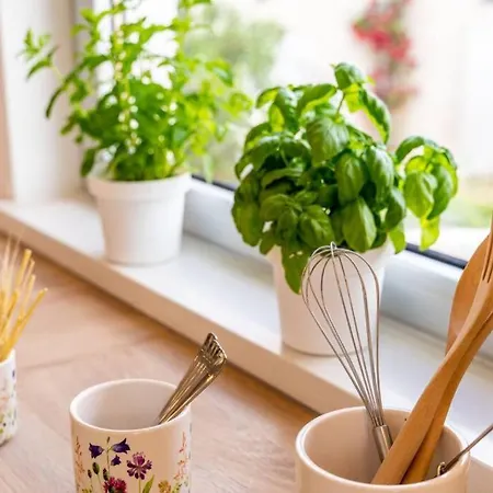 Diana: Bayside View Beauty - A Romantic *