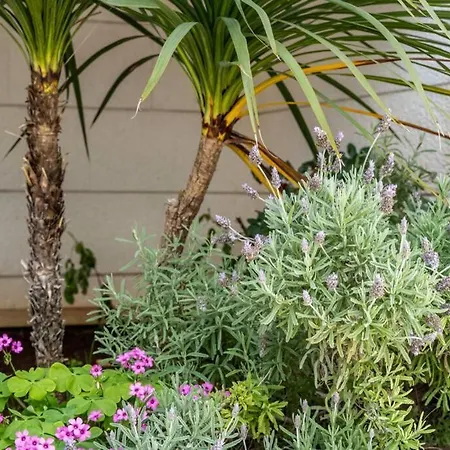 Diana: Bayside View Beauty - A Romantic Apartament