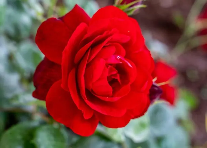 Apartmán Diana: Bayside View Beauty - A Romantic *