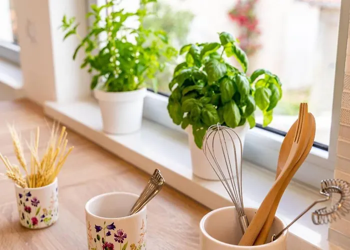 Diana: Bayside View Beauty - A Romantic *