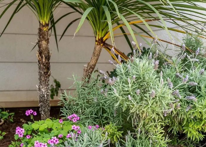 Diana: Bayside View Beauty - A Romantic Apartmán