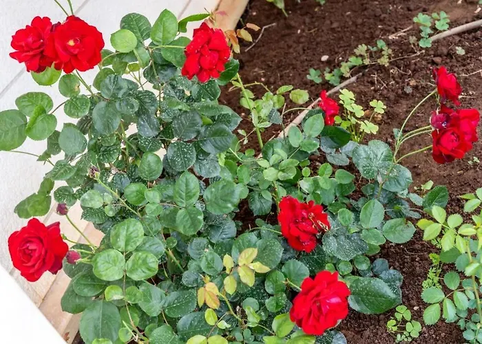 Apartmán Diana: Bayside View Beauty - A Romantic *